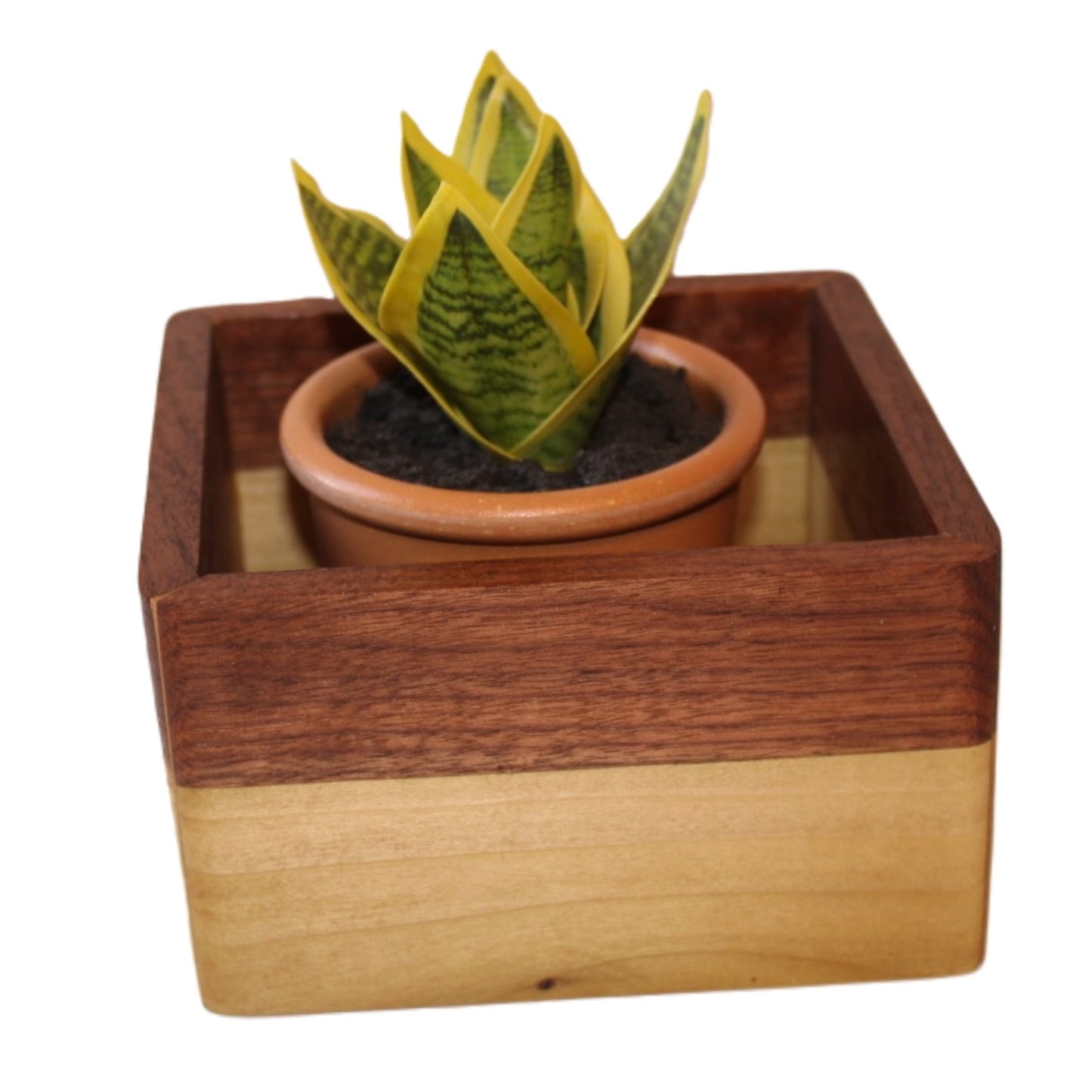 Planter for house plants made from Walnut and Poplar 5x5 Horizontal designed box